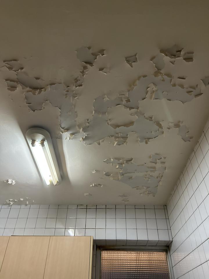 油漆工程案件圖片