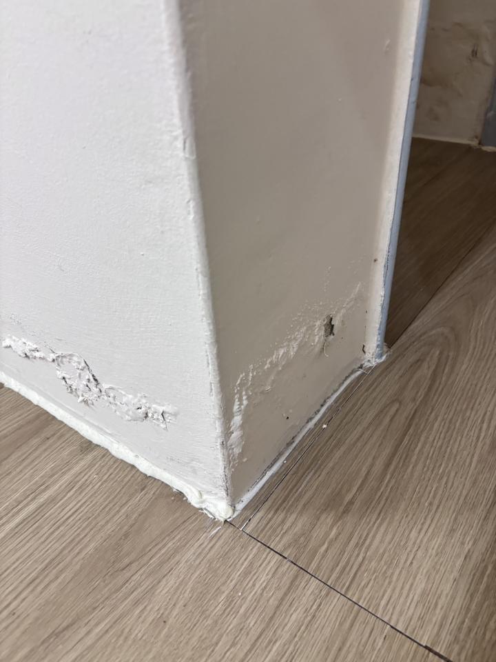 油漆工程案件圖片