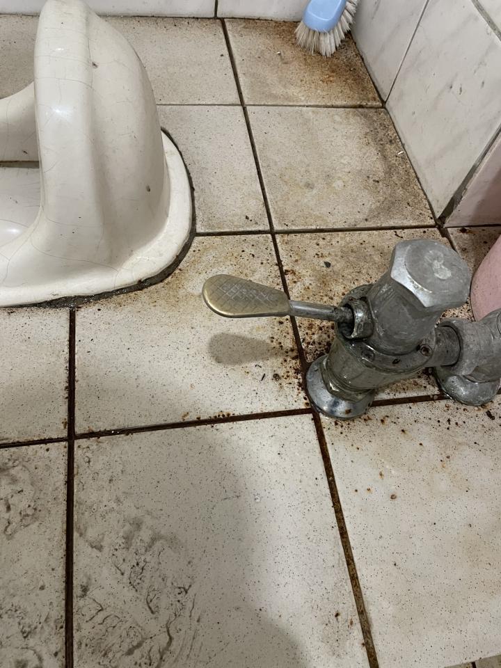 馬桶裝修案件圖片