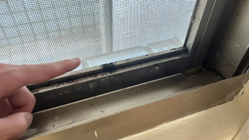 紗窗裝修案件圖片