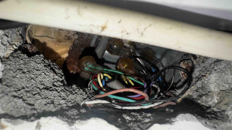 拉網路線案件圖片