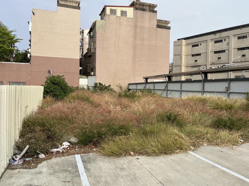 園藝維護案件圖片