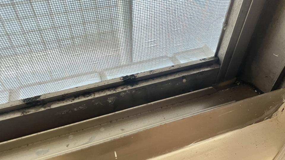 紗窗裝修案件圖片