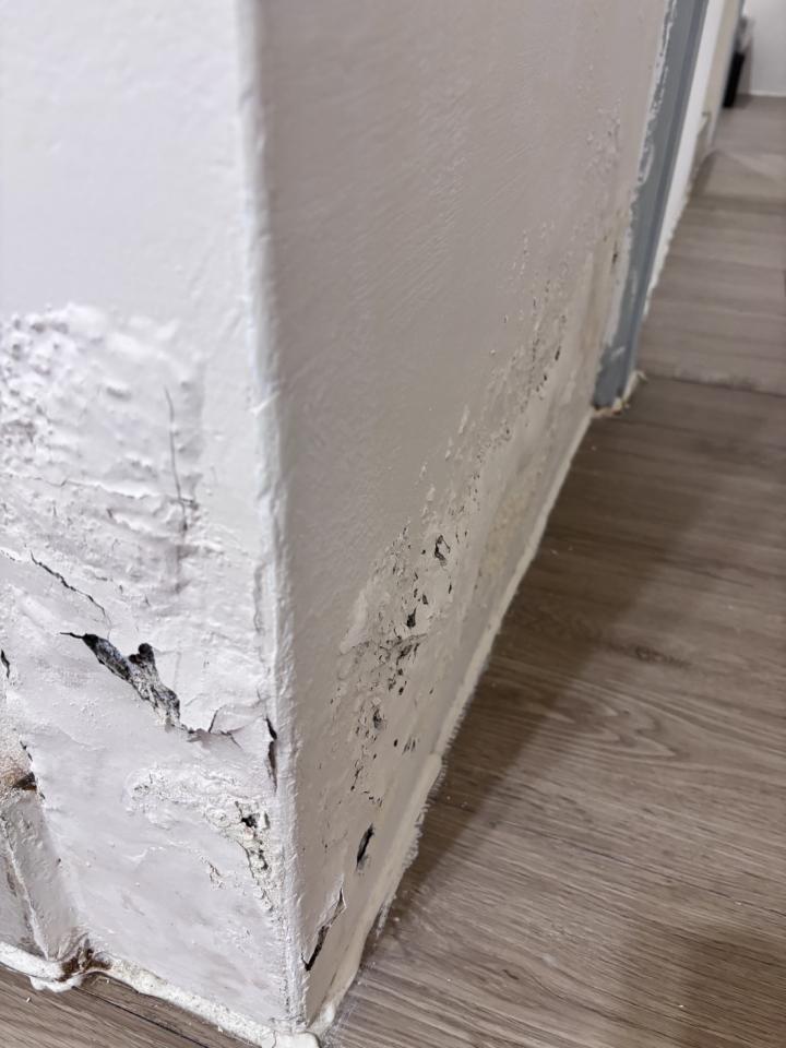 油漆工程案件圖片