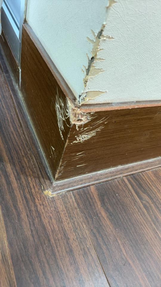 踢腳板施工案件圖片