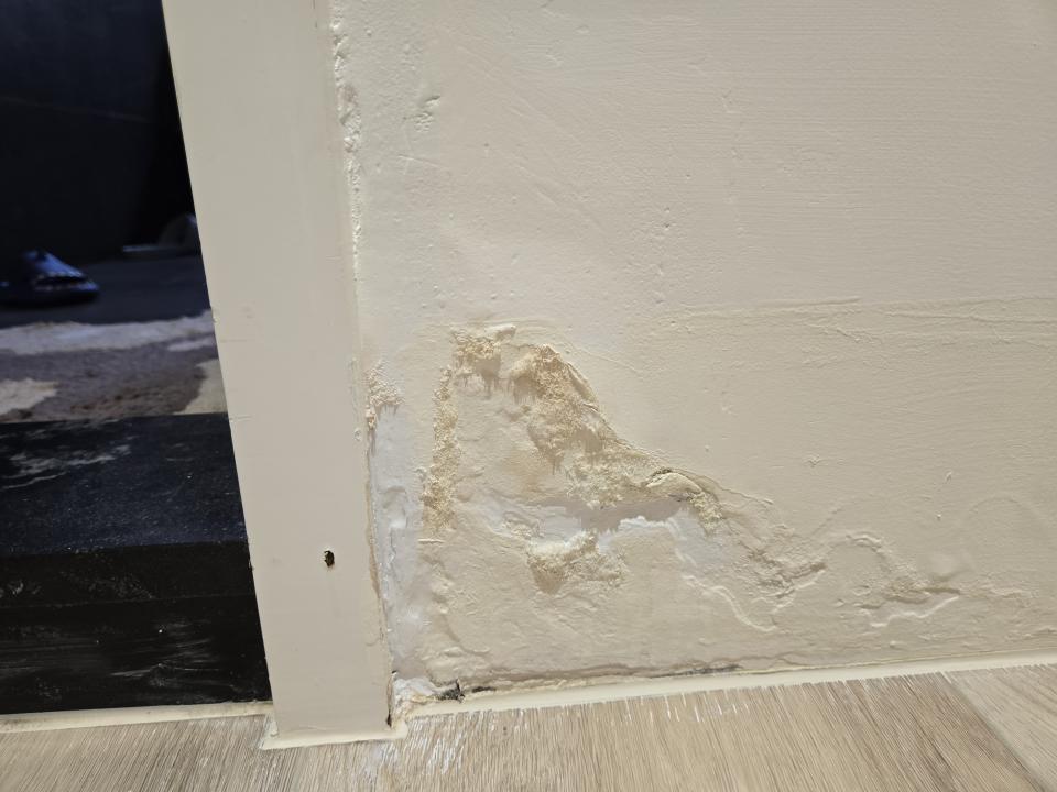 壁癌處理案件圖片