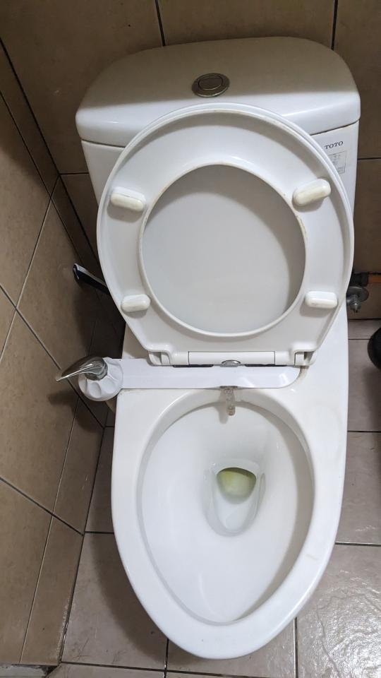 免治馬桶裝修案件圖片