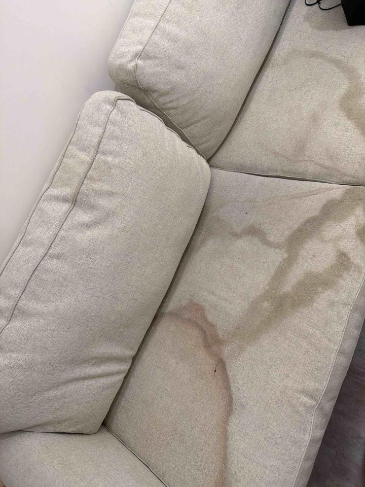 沙發清潔案件圖片