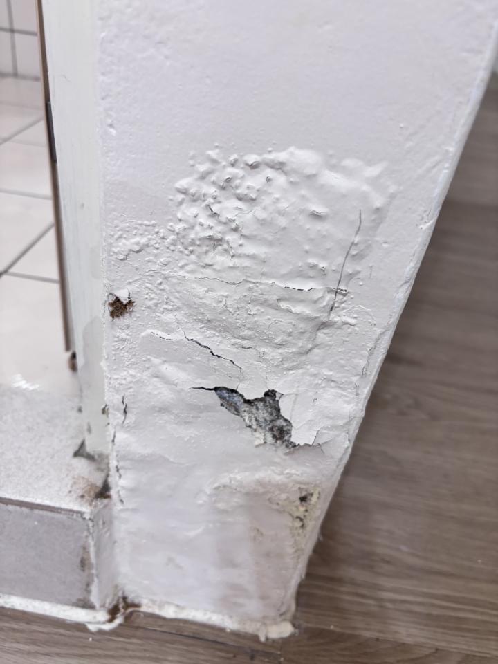 油漆工程案件圖片