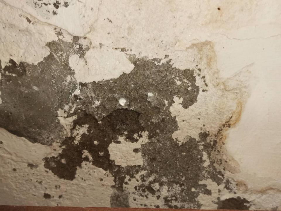 漏水鑑定案件圖片