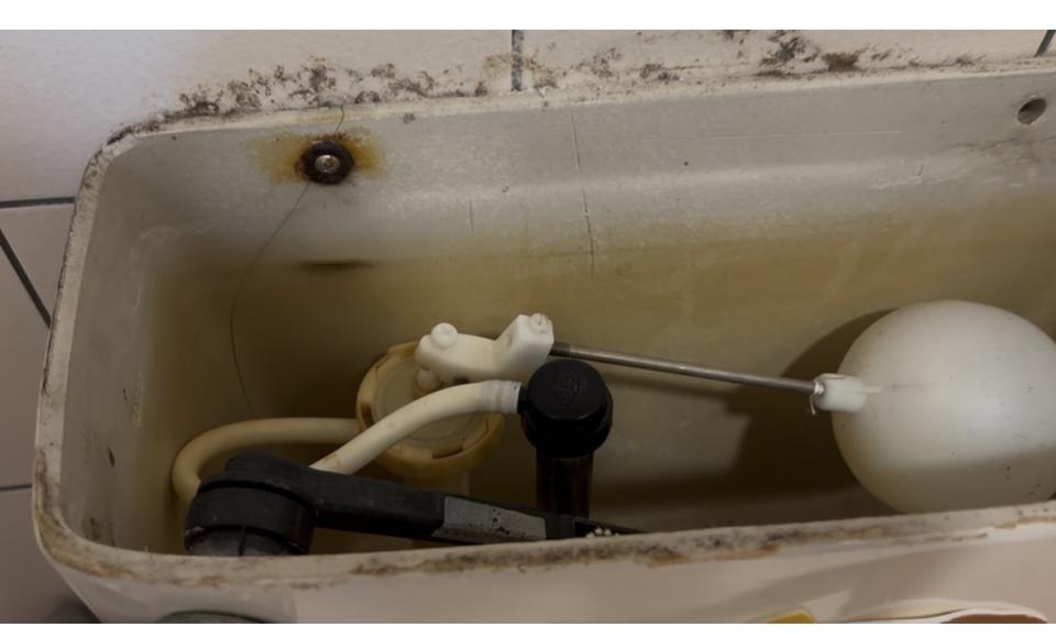 馬桶裝修案件圖片