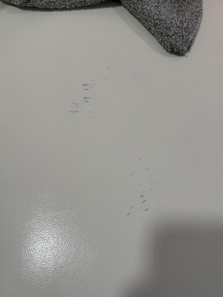 沙發清潔案件圖片