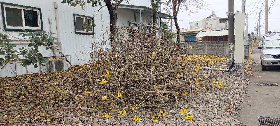 大型垃圾回收案件圖片