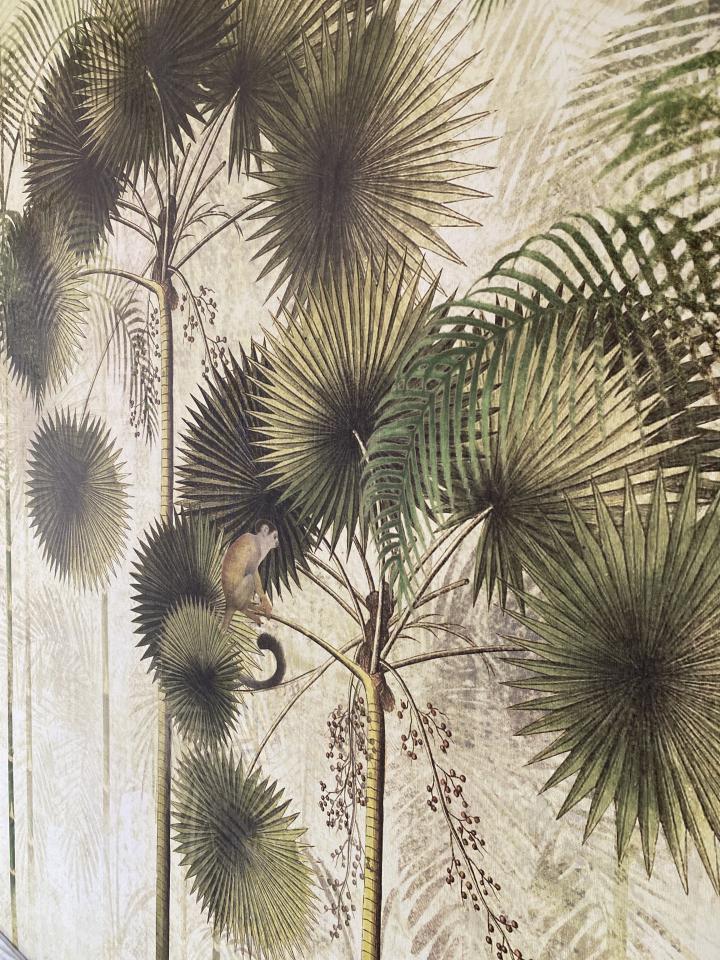 壁紙清除案件圖片