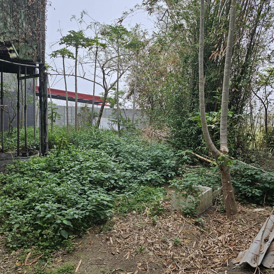 園藝維護案件圖片