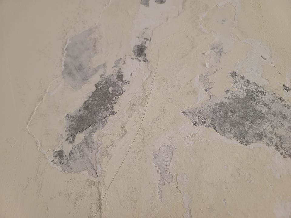 油漆工程案件圖片