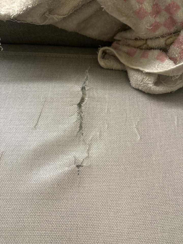 沙發修理案件圖片