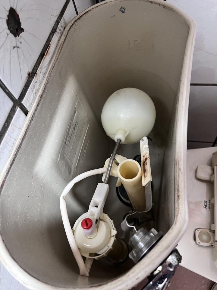 馬桶裝修案件圖片