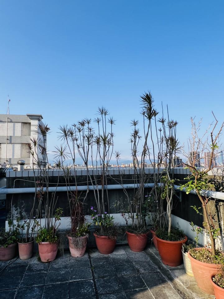 載貨運輸服務案件圖片