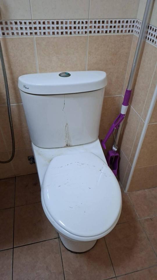 馬桶裝修案件圖片