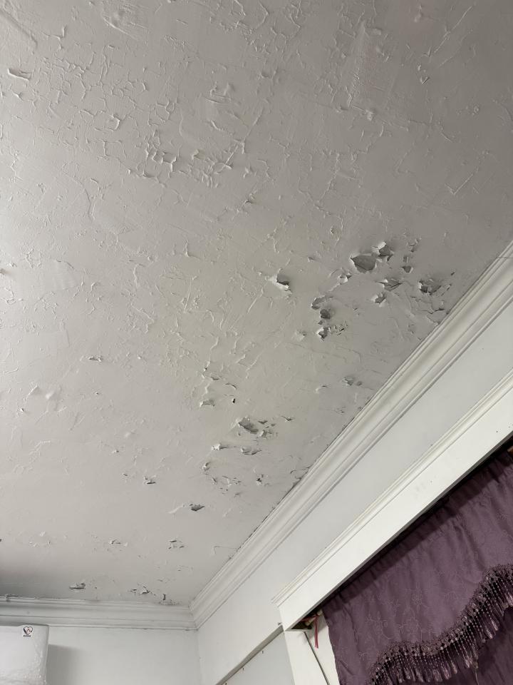 油漆工程案件圖片