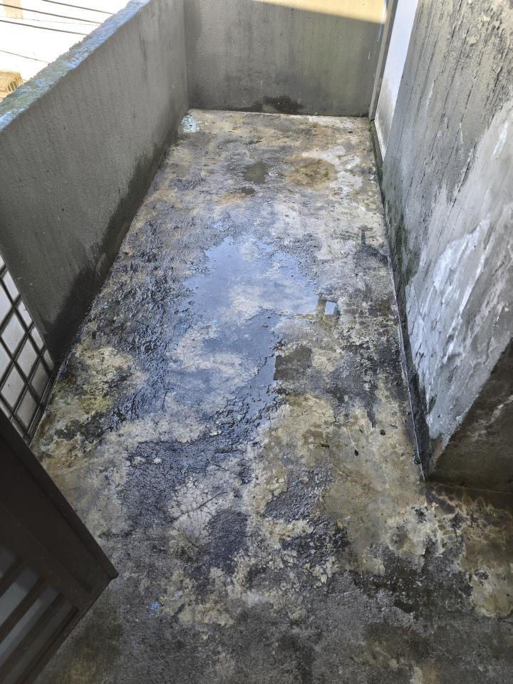 屋頂排水案件圖片