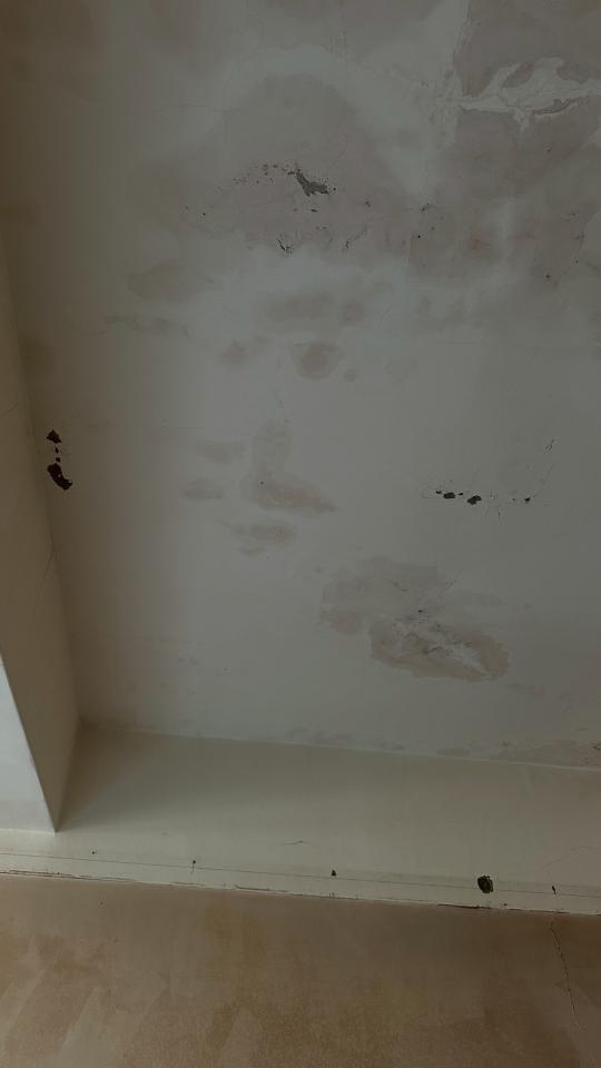 油漆工程案件圖片