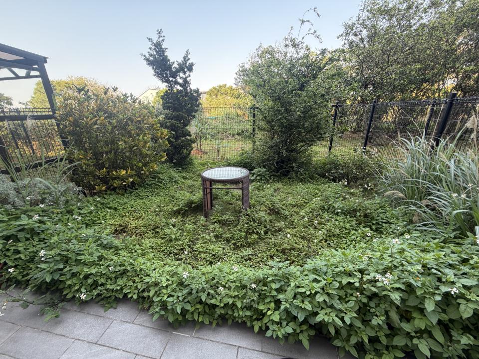 園藝維護案件圖片