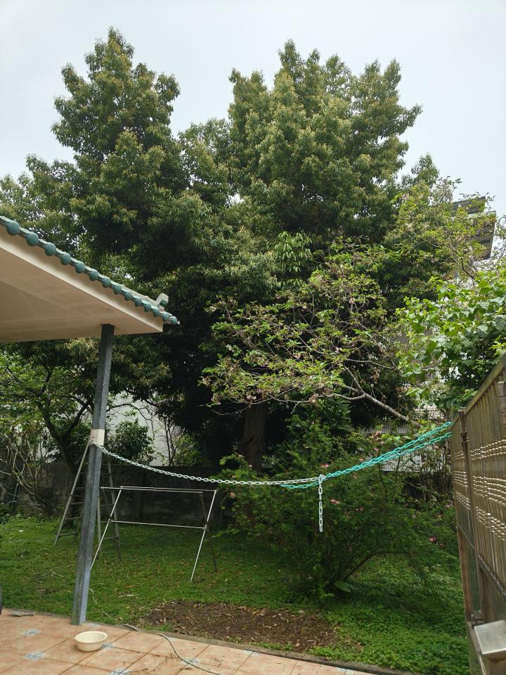 園藝維護案件圖片