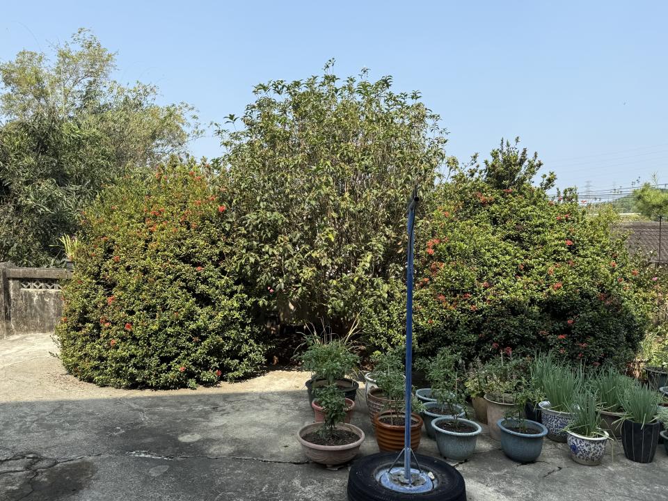 園藝維護案件圖片