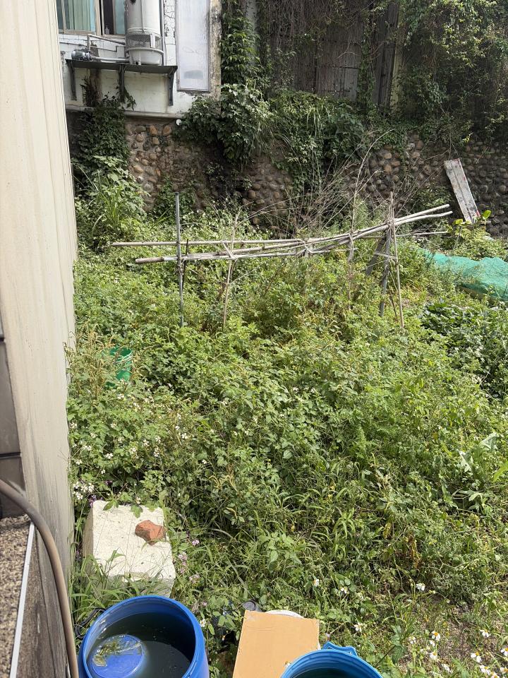 園藝維護案件圖片