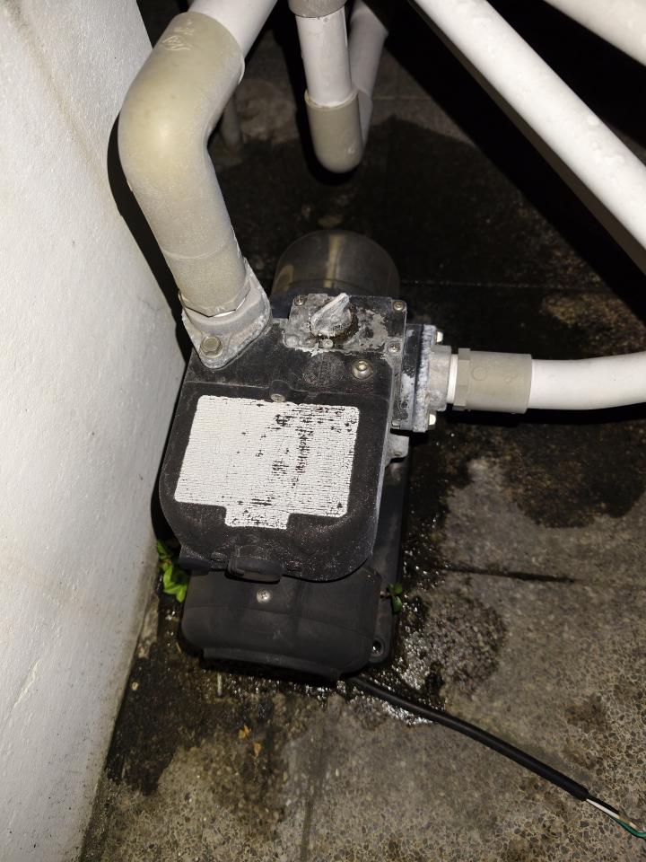 馬桶裝修案件圖片