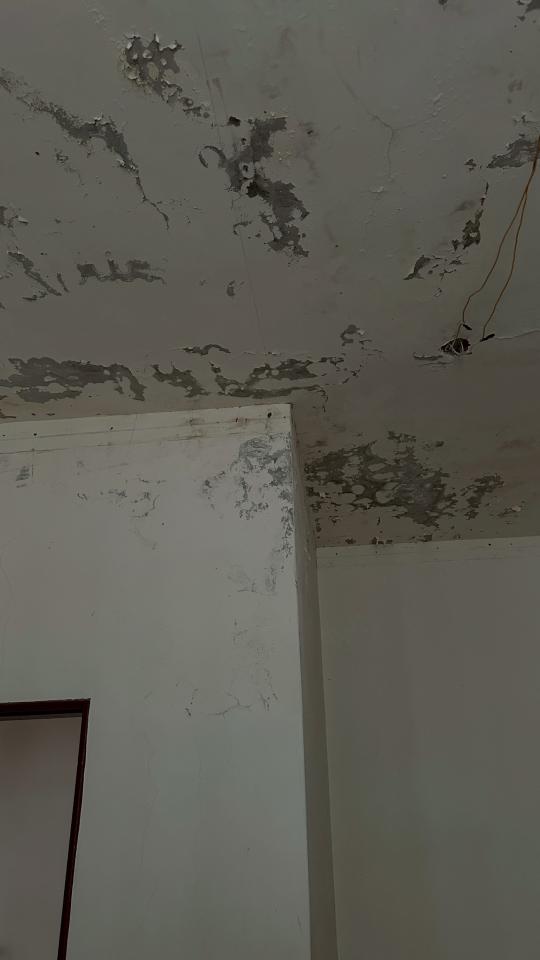 油漆工程案件圖片