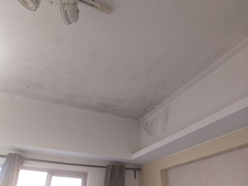 搬家清潔案件圖片