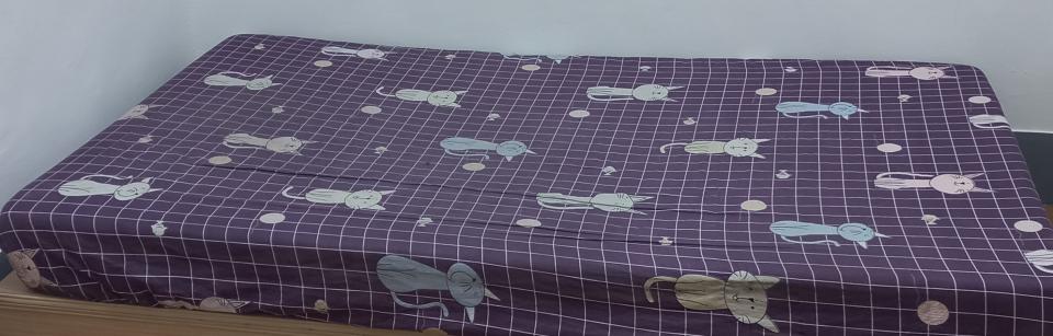 大型垃圾回收案件圖片