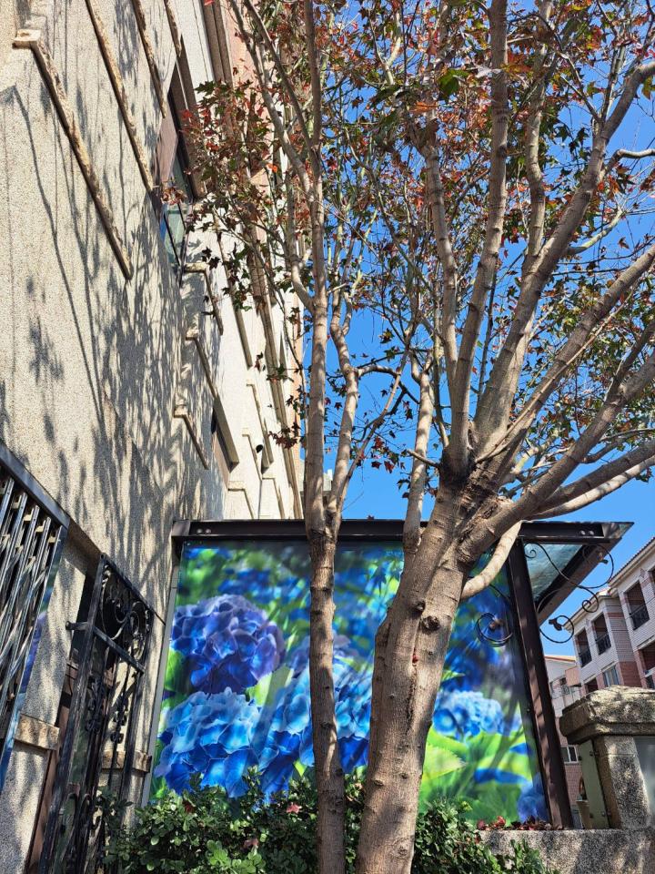 園藝維護案件圖片