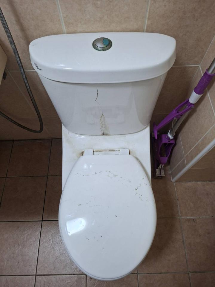 馬桶裝修案件圖片