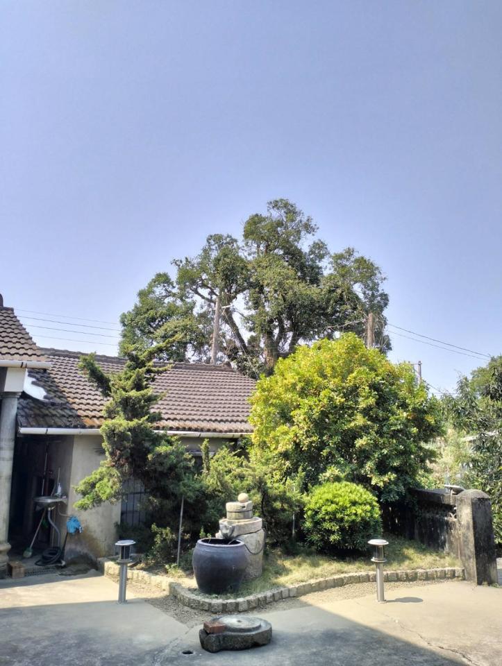 園藝維護案件圖片