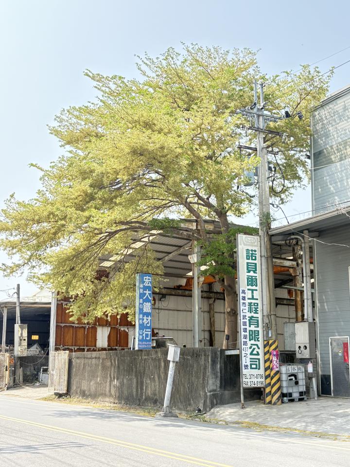 園藝維護案件圖片