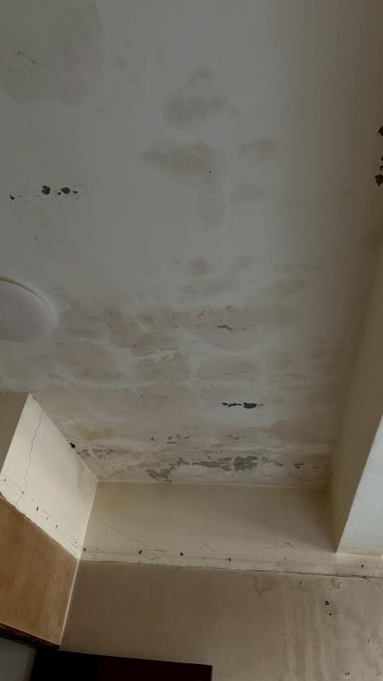 油漆工程案件圖片