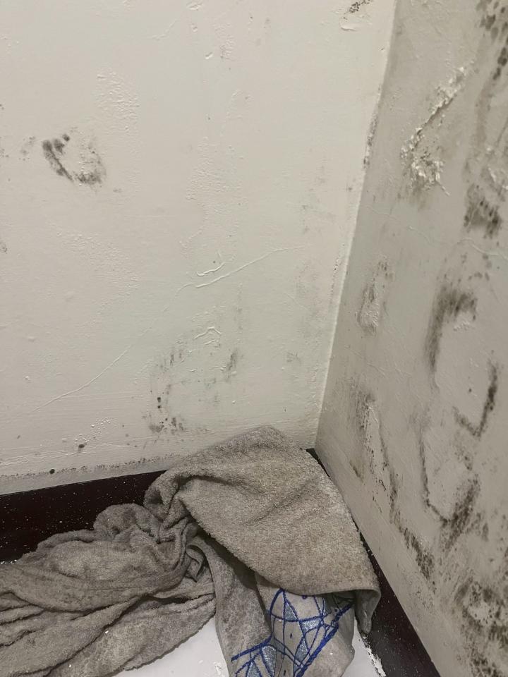 水管維修案件圖片