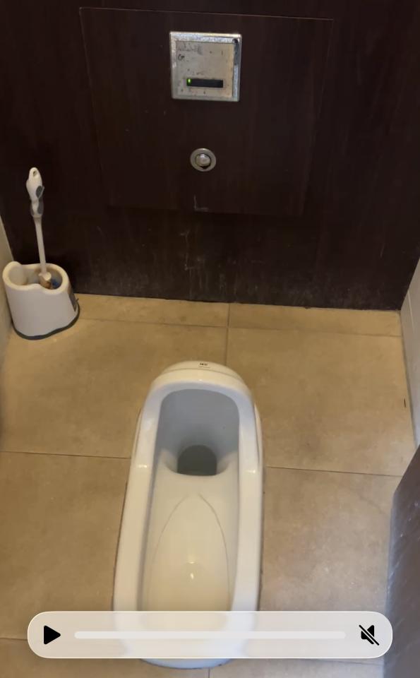 馬桶裝修案件圖片