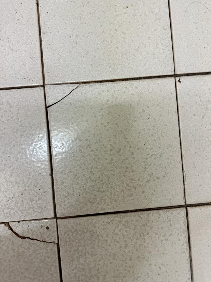 浴室翻新案件圖片