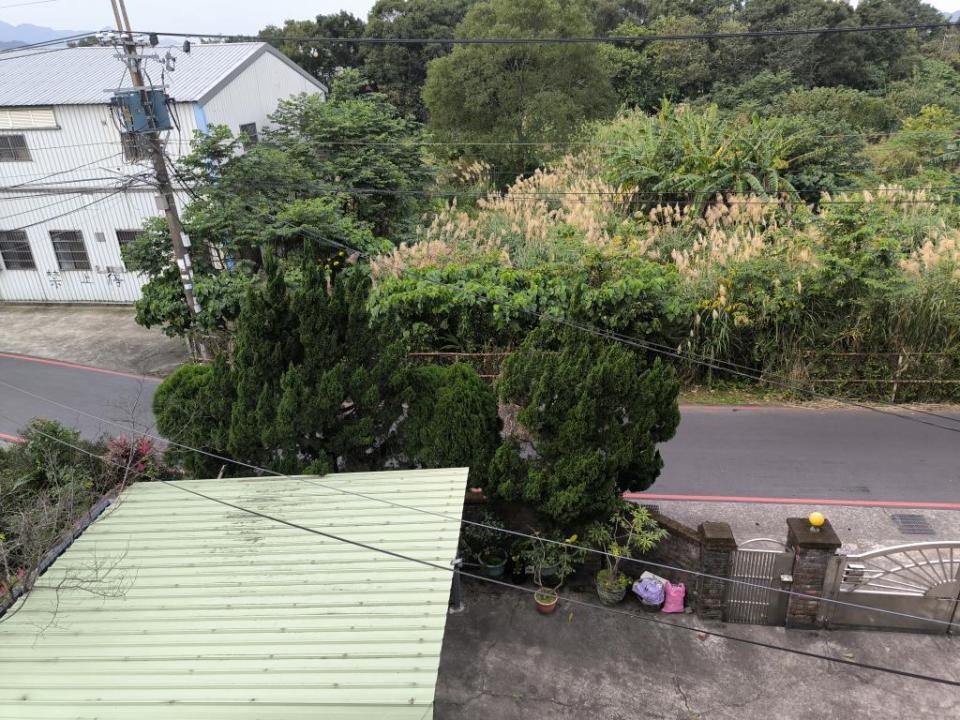 園藝維護案件圖片