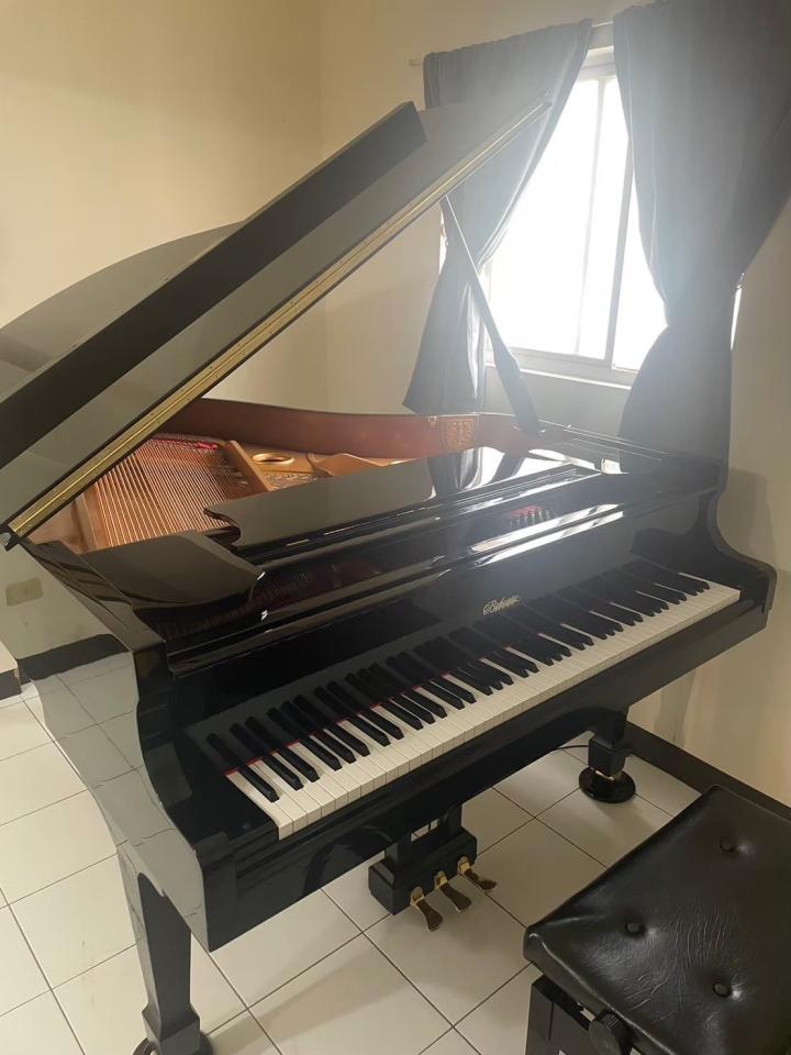 鋼琴搬運案件圖片