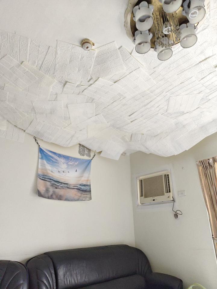 壁紙施工案件圖片