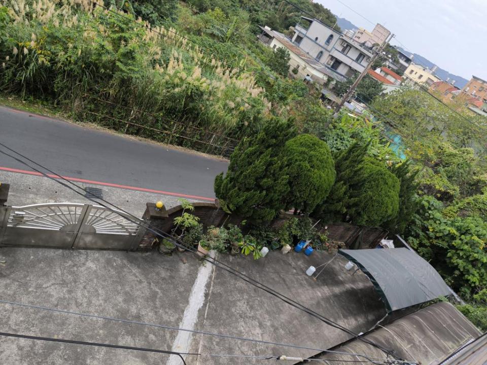 園藝維護案件圖片