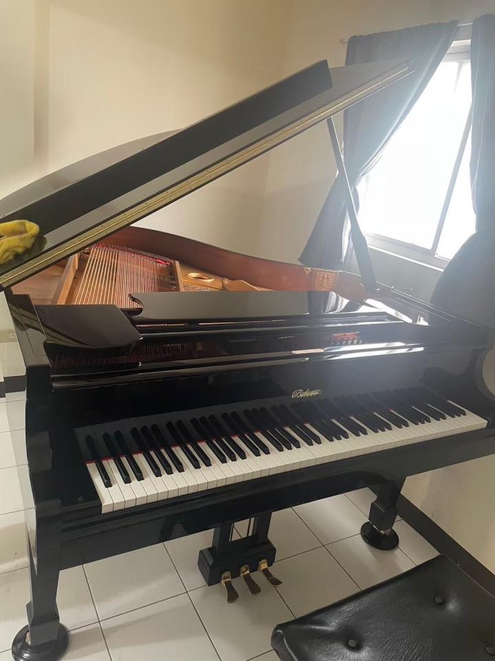 鋼琴搬運案件圖片