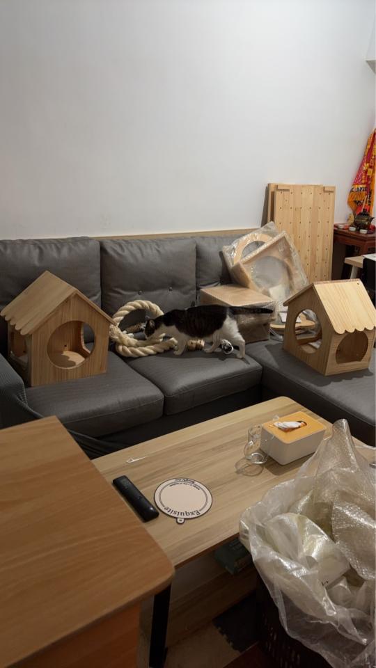 木工施工案件圖片