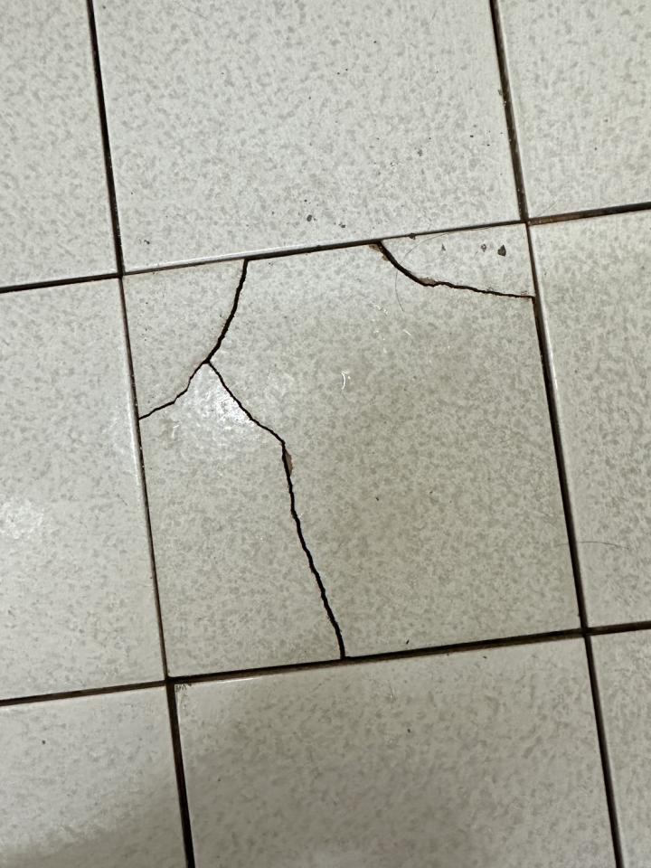 浴室翻新案件圖片